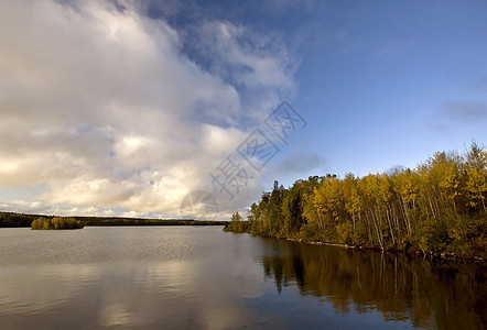 秋季Thompson附近北部马尼托巴湖荒野图片