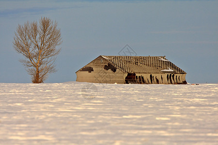 城市附近废弃的仓库天空白色蓝色农场乡村木头场景建筑房子农村图片