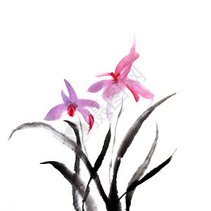 兰花刷子绘画传统帆布墨水衬套紫色文化植物群手工图片