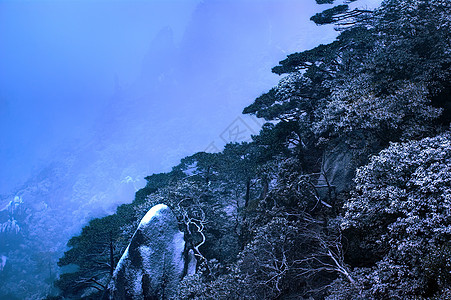 三青山的云雾     在中国江西拍电影岩石松树图片