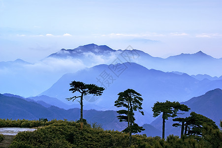 三青山的云雾     在中国江西拍电影岩石松树背景图片