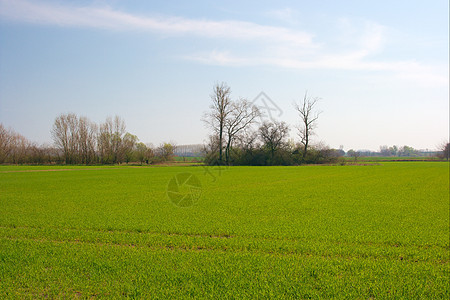 外地农村天空农业草地地平线培育生长农场休闲假期图片