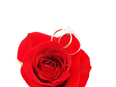以玫瑰和戒指为婚礼概念珠宝婚姻宝石新娘男人乐队蜜月夫妻花瓣金子图片