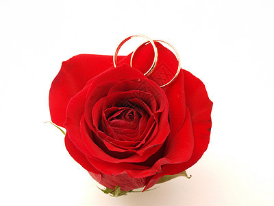 以玫瑰和戒指为婚礼概念男人钻石花瓣珠宝叶子蜜月念日乐队订婚女性图片