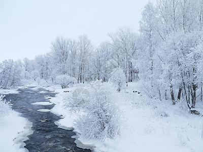 冬季风景暴风雪童话首脑天气环境季节气候阳光太阳降雪图片