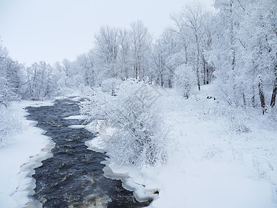 冬季风景太阳天气旅行森林环境假期童话木头天空气候图片