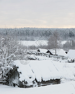 冬季风景环境照明全景高地美丽植物群房子气候木头阳光图片