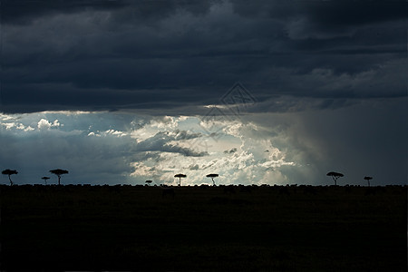 Masai Mara 天空图片