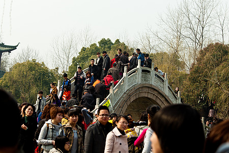中国扬州旅游业自然界冷泉公园花园图片