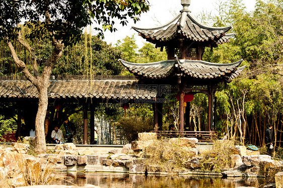 长相的乐园地景自由人生活游客旅游业公园男士自然界竹子图片