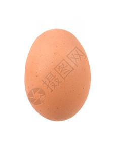 蛋商品市场美食杂货宏观食物小路圆形白色家禽图片