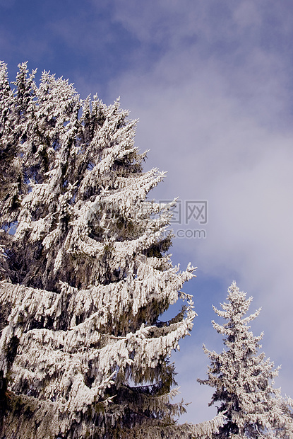 在天空背景下积雪和围云中图片