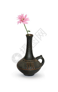 鲜花漫漫家庭制品陶瓷粉色花瓶植物花头黏土雏菊菊花图片