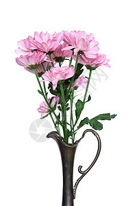 鲜花漫漫花瓶花头紫色家庭花束植物粉色雏菊骨质子宏观图片
