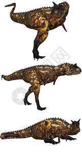 卡诺诺亚鲁斯灭绝侏罗纪喇叭荒野博物馆肉食者爬虫生物兽脚恐龙图片