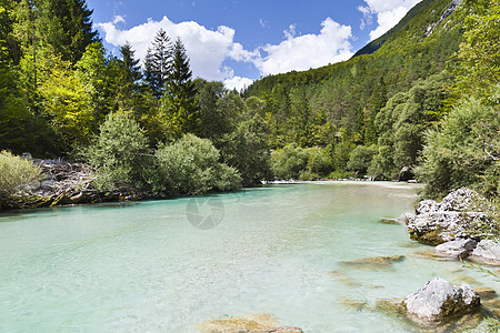 斯洛文尼亚的朱利安阿尔卑斯山索卡河爬坡松树绿色场景晴天荒野森林旅行环境蓝色图片