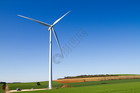 晴蓝天空下风力涡轮机涡轮力量团体技术公园旋转场地奶牛保护风车图片