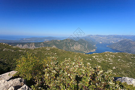 科托湾黑山蓝色海岸全景地平线环境岩石石头荒野森林晴天图片