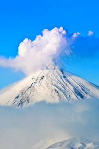 火山地震旅游野生动物灾难图片