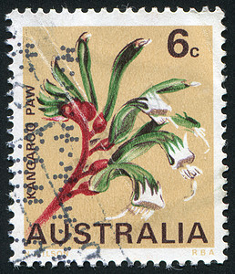 邮票热带花蕾植物收集植物群邮局生物学邮资植物学邮政图片