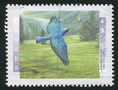 邮票集邮邮政邮局野生动物动物群邮件信封邮戳邮资公园图片