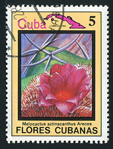 邮票植物群植物学邮局花蕾邮戳邮件卡片收集植物生物学图片