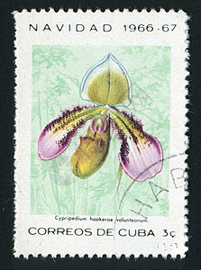 邮票植物花瓣信封收集热带地址植物群卡片植物学集邮图片