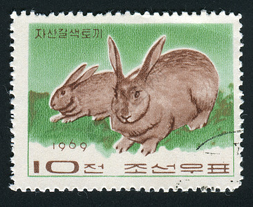 邮票邮戳动物象形兔子灰色集邮邮政信封收集邮局图片