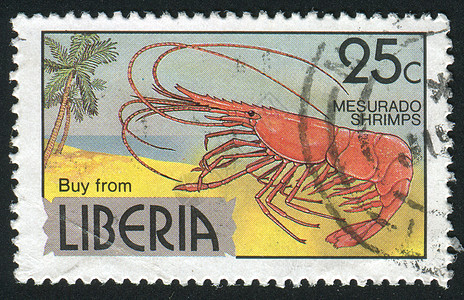 邮票信封对虾邮件邮局卡片邮戳集邮动物小吃海鲜图片