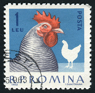 邮票邮资集邮动物家禽母鸡邮件邮政信封爱好卡片图片