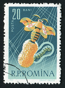 邮票昆虫邮件动物群集邮邮政邮局爱好信封卡片蝴蝶图片