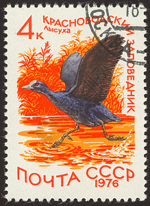 邮票邮局地址邮戳邮件卡片邮政动物集邮鸭子池塘图片