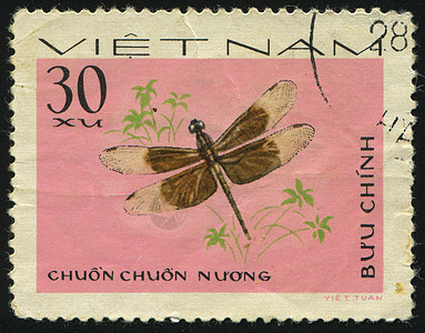 邮票翅膀邮件昆虫动物群邮资地址卡片邮局生物邮政图片