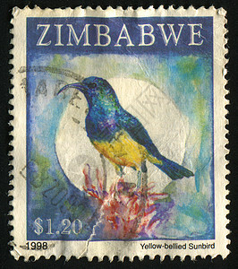 邮票公园邮政邮件鸟类邮戳邮资地址野生动物卡片动物图片