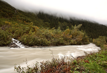 不列颠哥伦比亚省Argle Creek森林海岸岩石山腰树木山脉水平雨林旅行风景图片