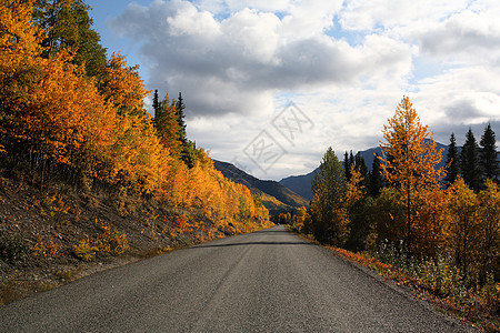 不列颠哥伦比亚省公路上的秋季颜色树干旅行蓝天森林松树风景树木场景丘陵树叶图片