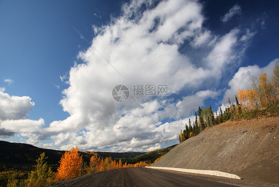 不列颠哥伦比亚省公路上的秋季颜色植物树叶松树场景灌木丛水平森林风景蓝天丘陵图片