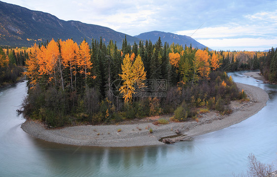 不列颠哥伦比亚省北部河的秋色场景树叶旅行丘陵灌木丛树木反思环形蓝天水平图片