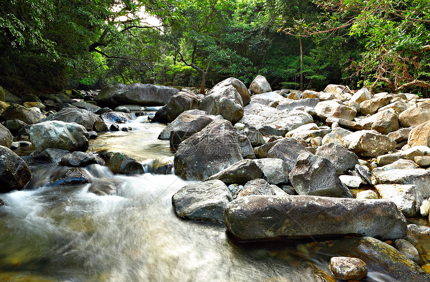 森林中的泉水溪流叶子森林墙纸岩石旅行环境热带玻璃石头图片