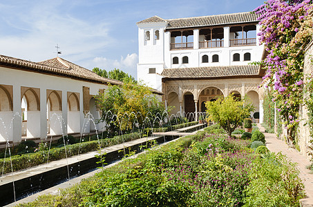 Alhambra  普通花园内Acequia派水池喷口遗产绿色衬套公园树篱植被灌木喷泉图片