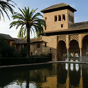 阿尔罕布拉的摩尔什建筑棕榈反射露台门廊遗产古董建筑学水池图片