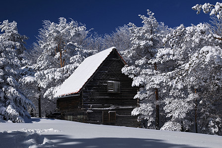 雪中山庄乡村小屋寂寞风景季节国家假期阳光木头住宅图片