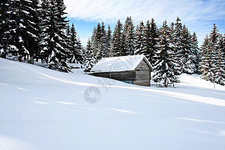 雪中小木屋全景旅游蓝色小屋晴天寒冷牧歌天空松树白色图片