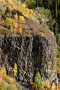 不列颠哥伦比亚省悬崖上的秋色树图片