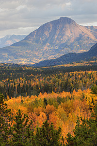 不列颠哥伦比亚省秋季的山景山脉旅行风景松树阴霾观光树木山坡场景树叶图片