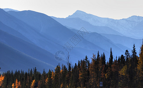 不列颠哥伦比亚省秋季的山景树叶阴霾旅行风景场景山腰树木观光水平山坡图片