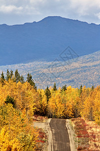 不列颠哥伦比亚省沿回路的多彩森林树叶山脉杂草风景观光场景松树旅行图片