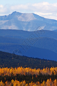 不列颠哥伦比亚省山区秋季森林树叶风景场景山脉树木反射阴霾松树山峰图片