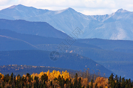 不列颠哥伦比亚省山区秋季丘陵阴霾山峰多云树木水平旅行山脉风景松树图片