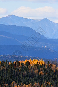 不列颠哥伦比亚省山区秋季树木多云旅行丘陵风景森林山脉松树树叶山峰图片